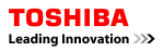 Toshiba Global Commerce Solutions at Digital ID World Africa 2016