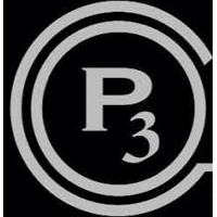 P3 Automotive  attending the World Passenger Festival event in Amsterdam