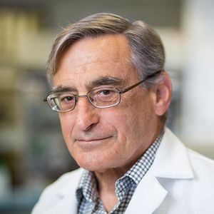 Dr Doug Richman on the Scientific Advisory Board at World Vaccine Congress West Coast