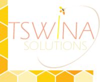 Tswina Solutions Pty Ltd at The Electric Vehicles Show Africa 2020