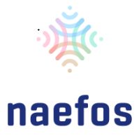 Naefos at Power & Electricity World Africa 2019