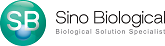 Sino Biological at Immune Profiling World Congress 2020