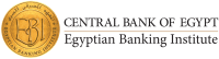 The Egyptian Banking Institute at Seamless North Africa 2019
