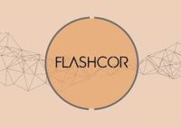Flashcor at Power & Electricity World Africa 2018