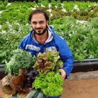 Mostafa Elsayed, Chief Operating Officer, Plantopia for Soil-less & Sustainability