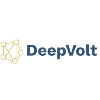 DeepVolt at MOVE 2024