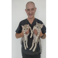 Anthony Caiafa | Founder and Director of Mobile Pet Dentistry, Adjunct Associate Professor | James Cook University » speaking at The VET Expo