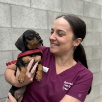 Annie Smith | Anaesthesia/Surgery Technician & Clinical Educator | Queensland Veterinary Specialists » speaking at The VET Expo