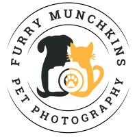 Furry Munchkins at The VET Expo 2025