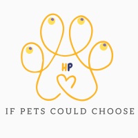 Happy Petto at The VET Expo 2025