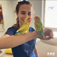 Kate Lamb | Veterinarian (MANZCVS Avian Medicine and Surgery). | The House Call Vet » speaking at The VET Expo